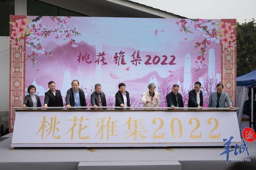 桃花雅集2022 白云區(qū)非遺沉浸式體驗(yàn)開啟文化交融新篇章